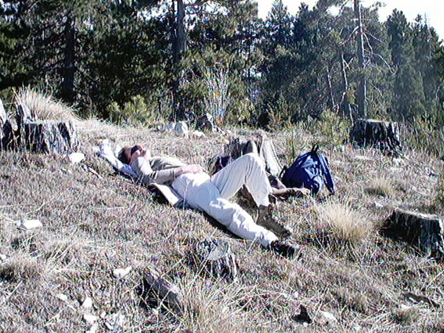 ce jour 15 fevrier, 15C  1700m, sieste au sommet du Maurel